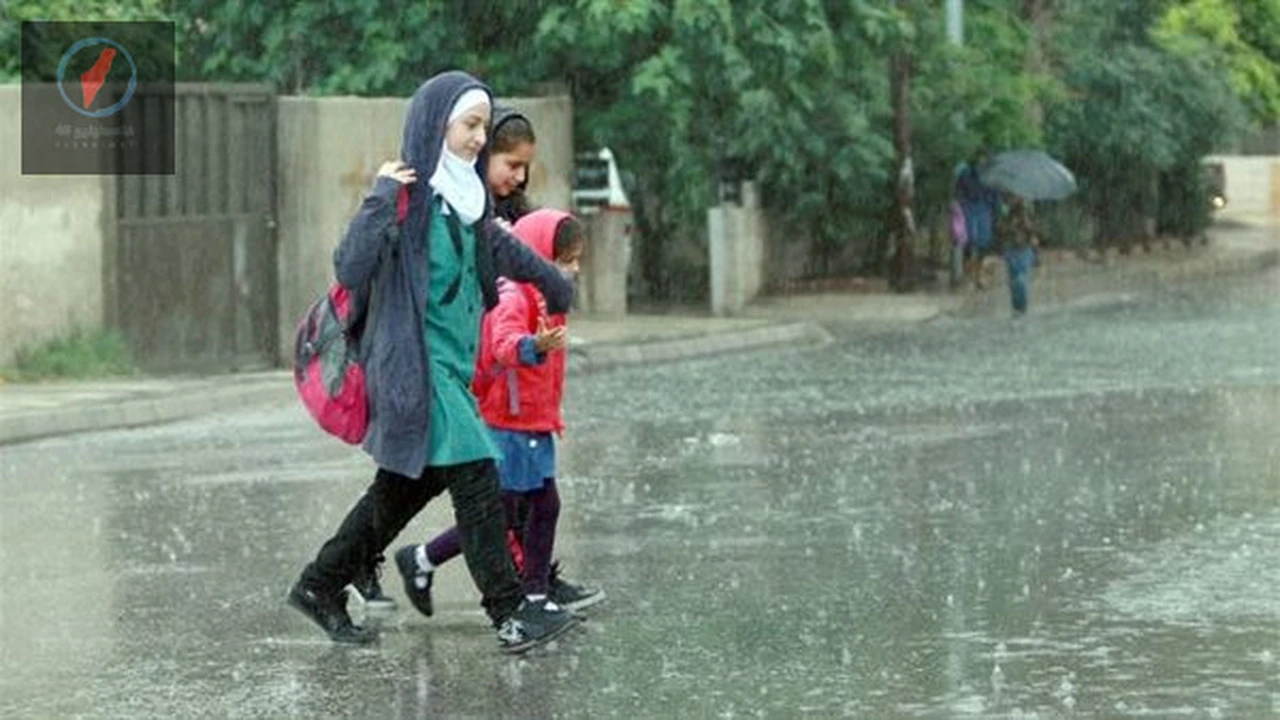 تقلبات جوية في القاهرة: الأرصاد تعلن تفاصيل حالة الطقس بين الحرارة والبرودة